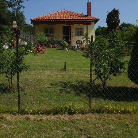 Xerxis Hill/Chalkidiki Τρυπητή Χαλκιδικής Villa Nea Roda Exteriör bild